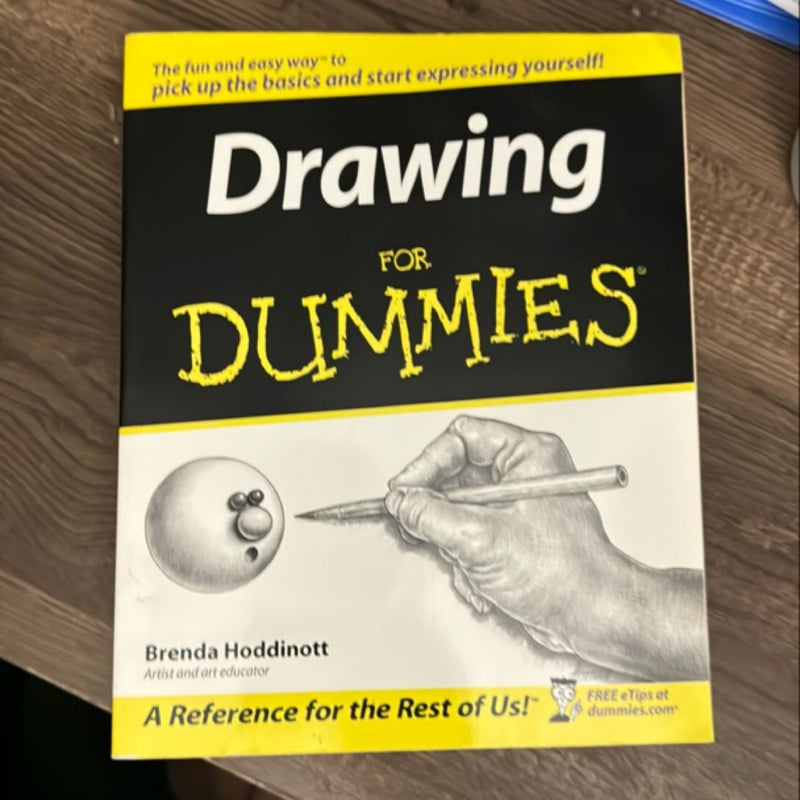 Drawing for Dummies