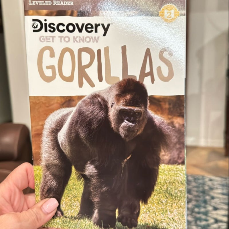 Discovery Get to Know Gorillas