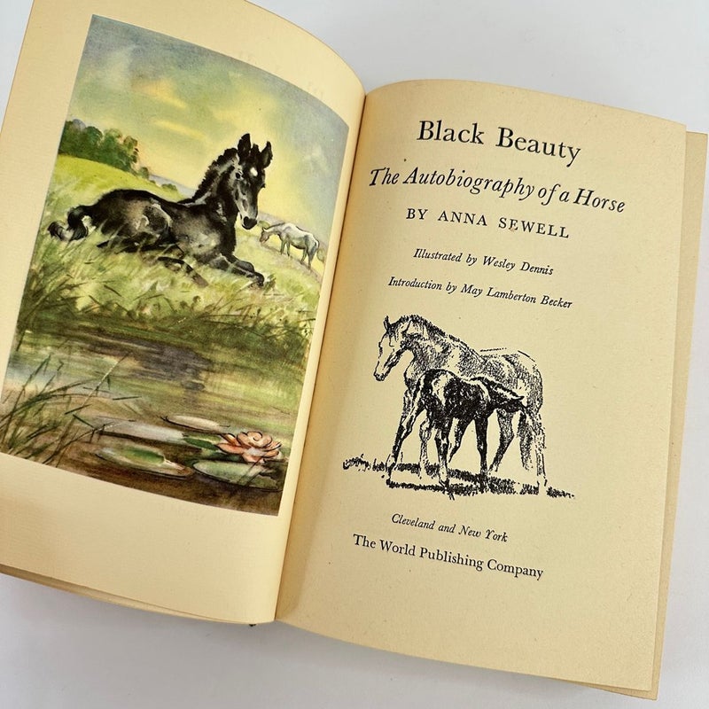 Black Beauty-Rainbow Classics