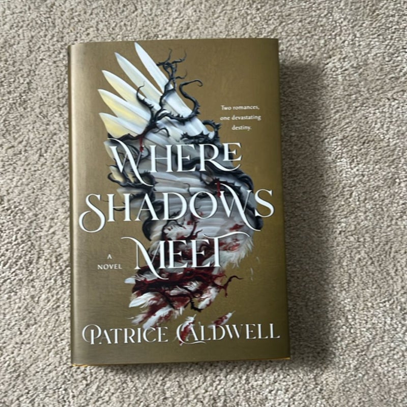 Where Shadows Meet