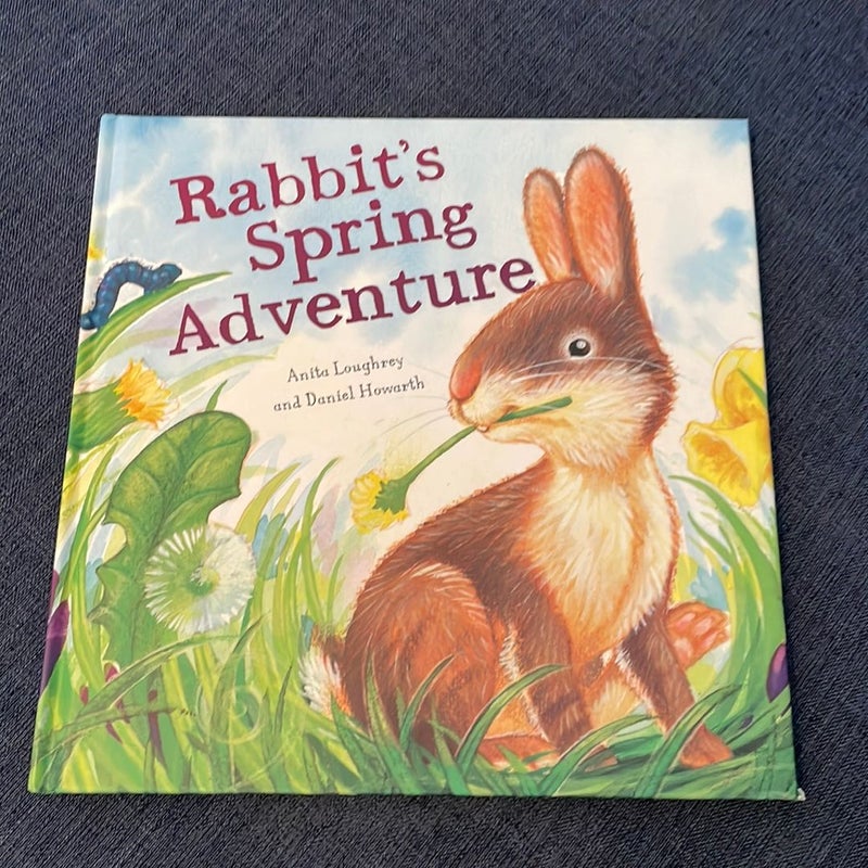 Rabbit's Spring Adventure