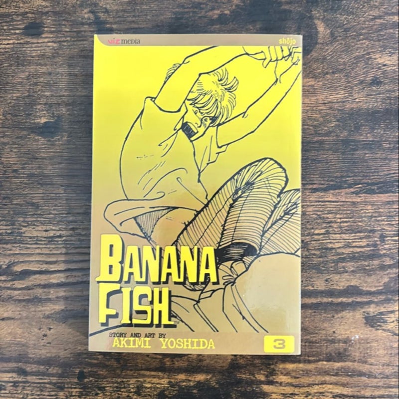 Banana Fish, Vol. 3