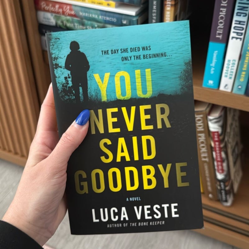 You Never Said Goodbye