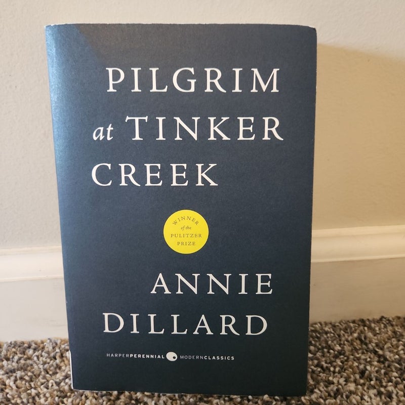 Pilgrim at Tinker Creek