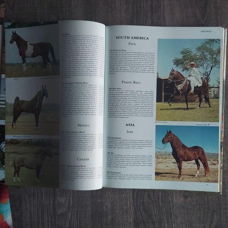 Encyclopaedia of the Horse