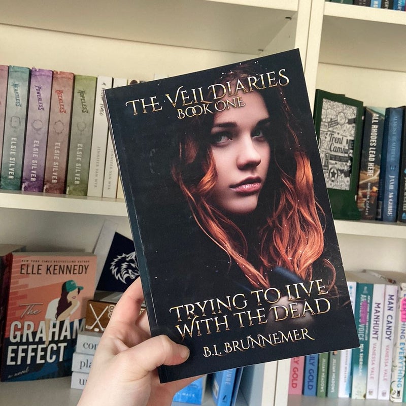 The Veil Diaries (book one)