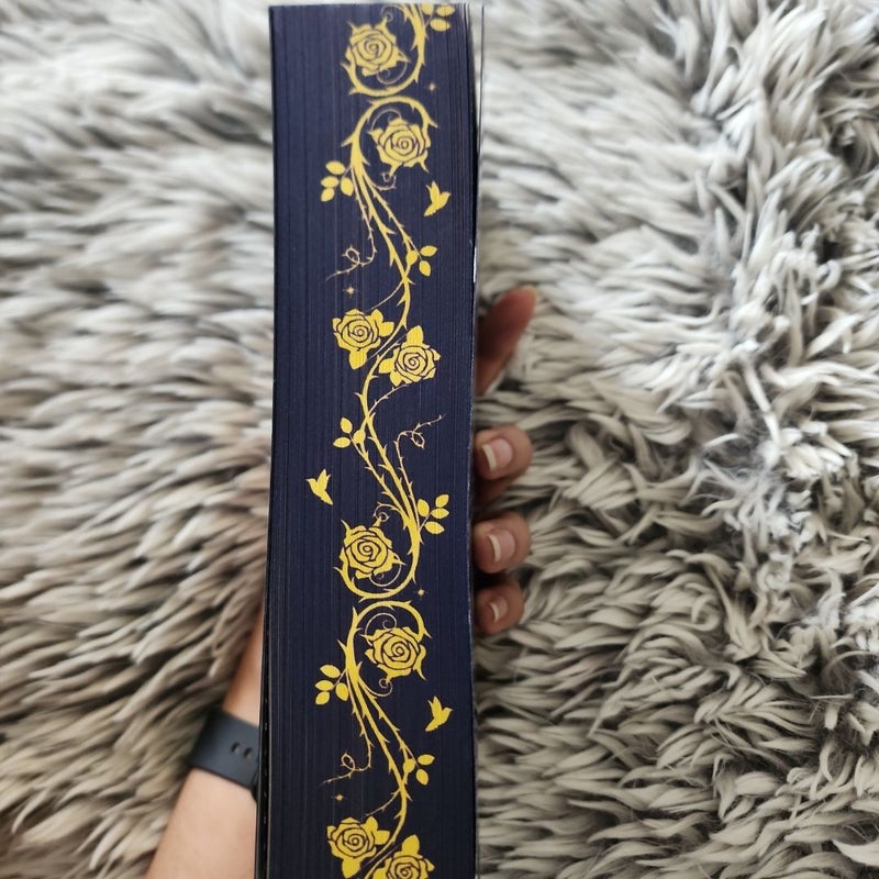Twin Crowns (Fairyloot paperback edition)