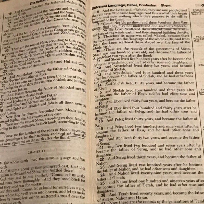 New American Standard Bible 1971