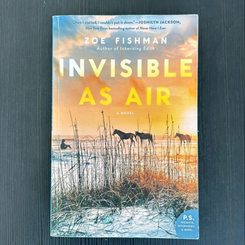 Invisible As Air