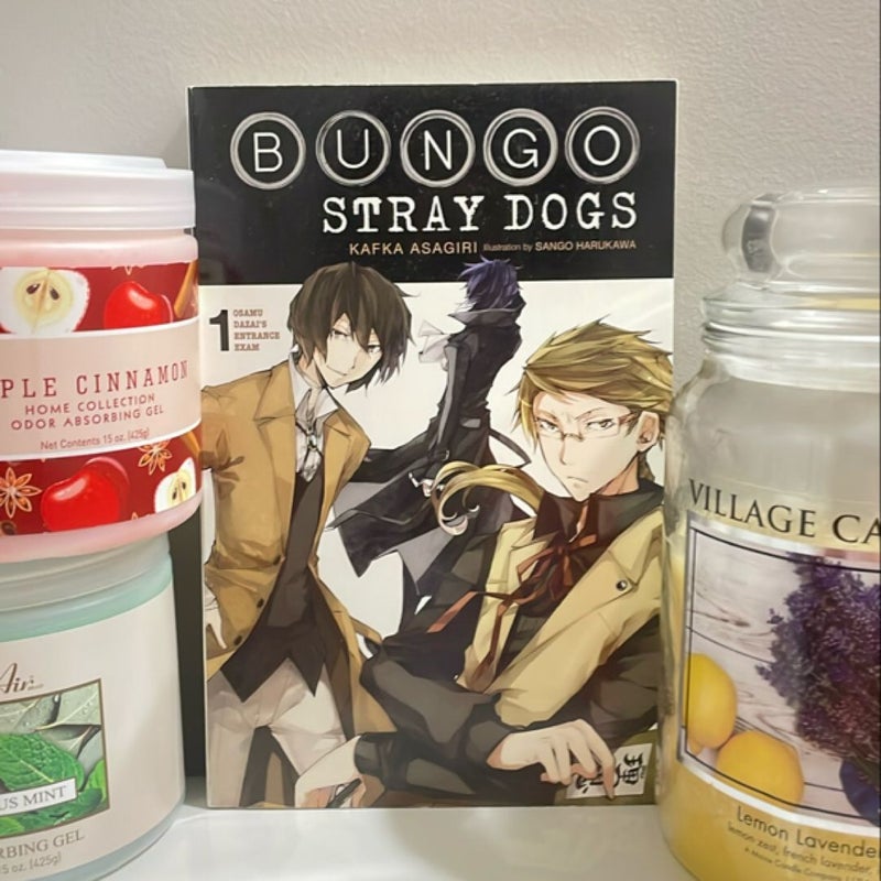 Bungo Stray Dogs, Vol. 1 (light Novel)