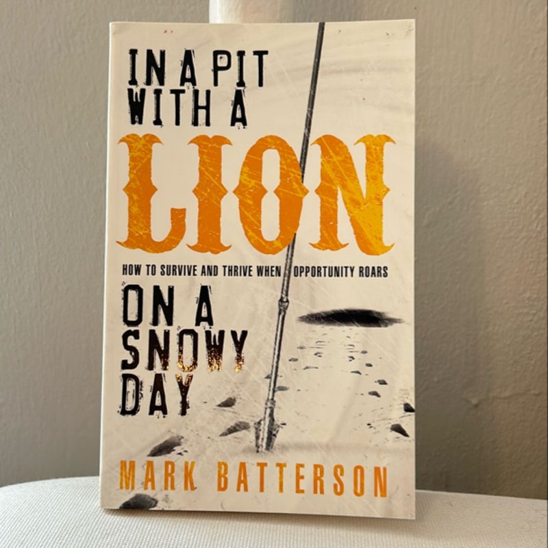 In a Pit with a Lion on a Snowy Day