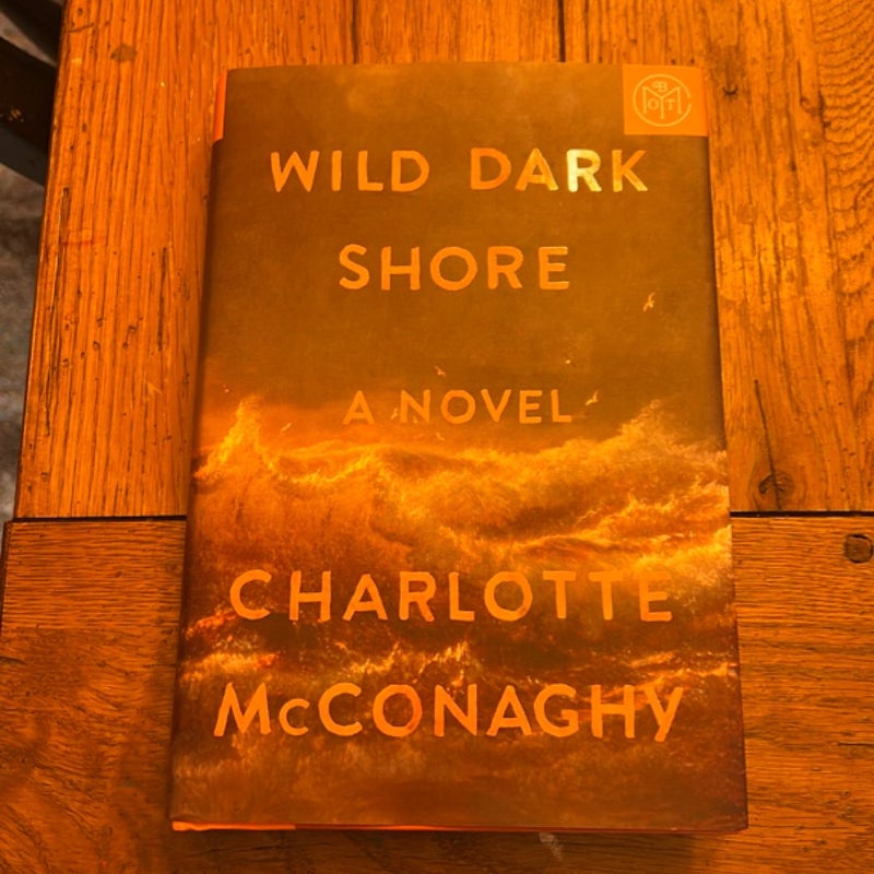 Wild Dark Shore