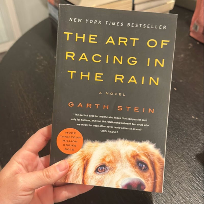 The Art of Racing in the Rain