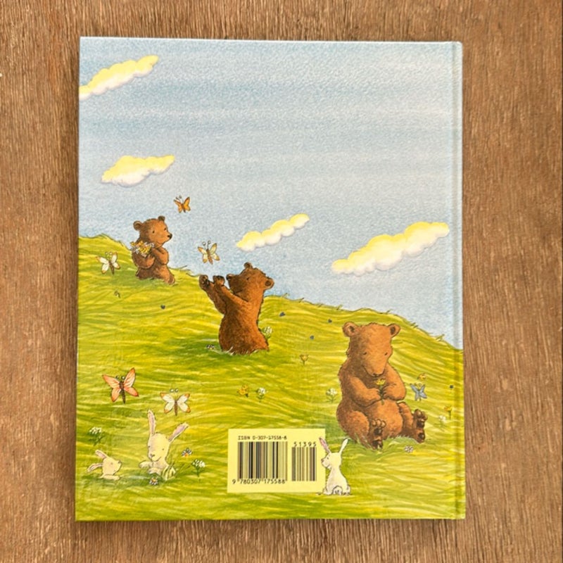 Mr. Bear's Picnic