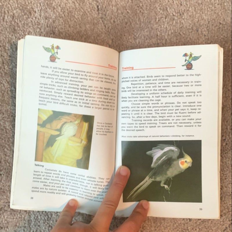 A Step by Step Book about Cockatiels