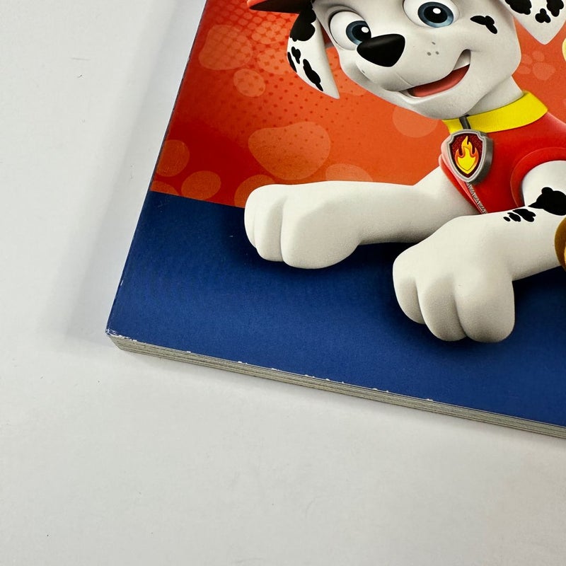 Paw Patrol Lift a Flap Look and Find, Tabs