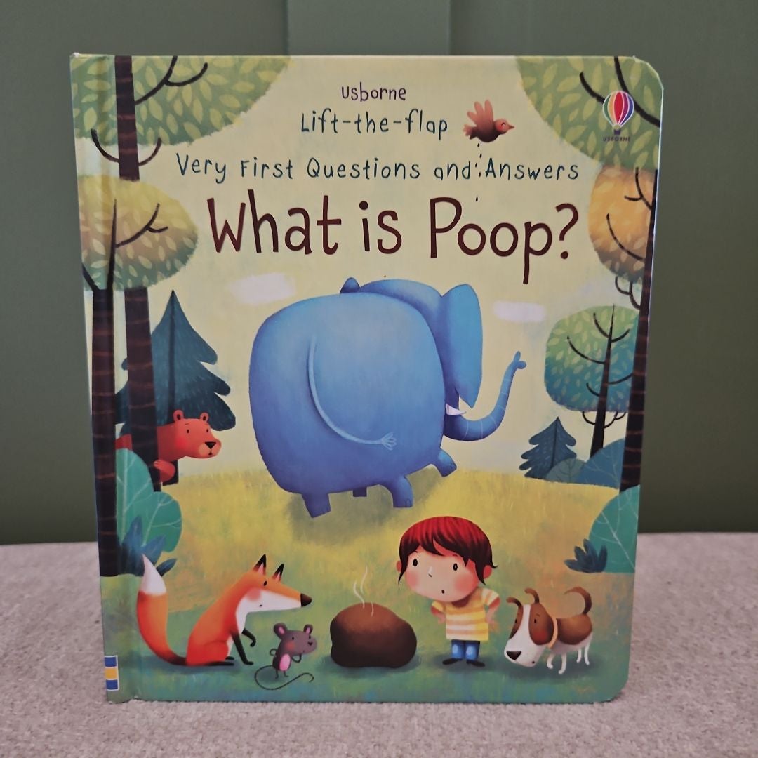 Very First Questions and Answers by Usborne, Hardcover | Pangobooks