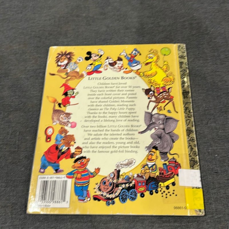 Mulan (Disney Princess)