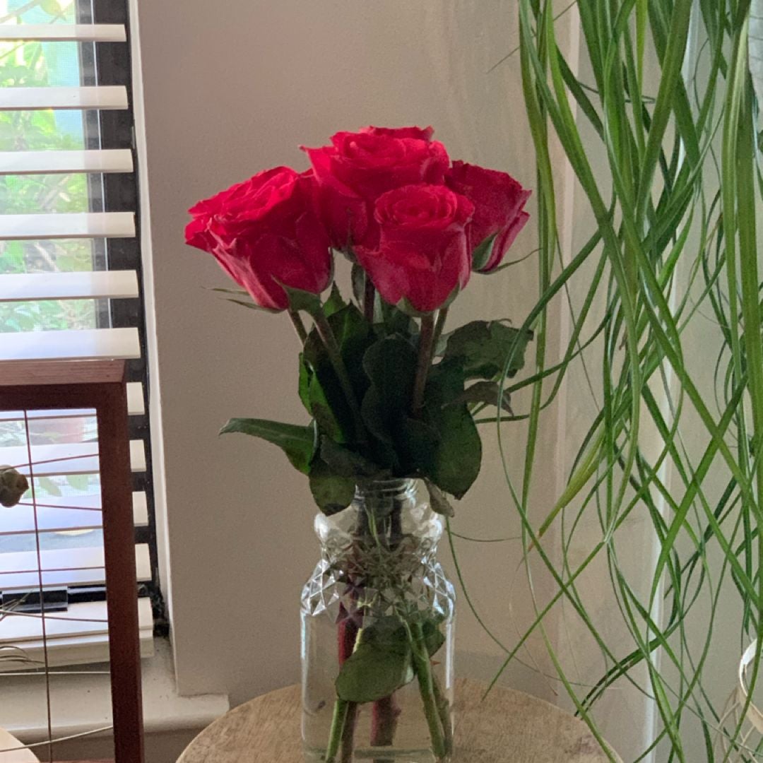 Rosa