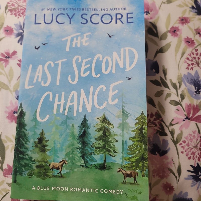 The Last Second Chance