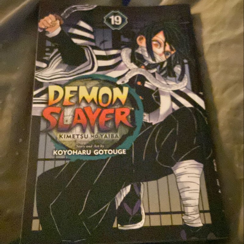 Demon Slayer: Kimetsu No Yaiba, Vol. 19