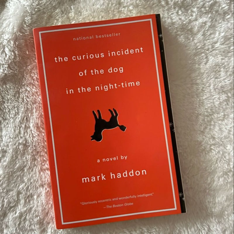 The Curious Incident of the Dog in the Night-Time