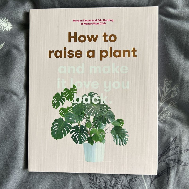 How to Raise a Plant