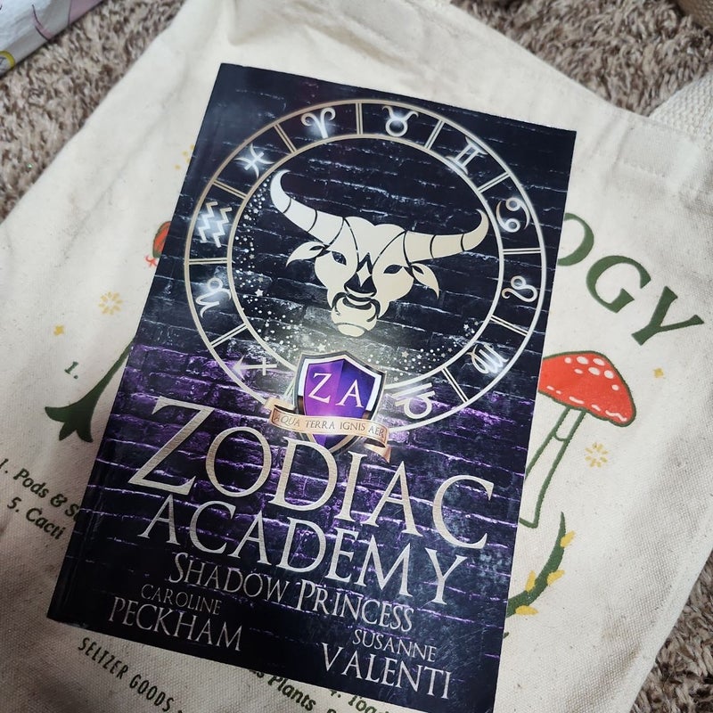 Zodiac Academy 4
