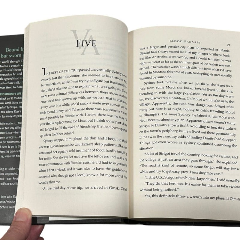 Blood Promise Vampire Academy 