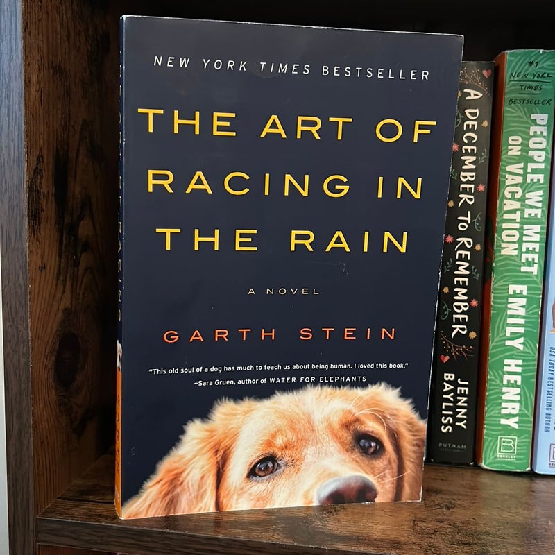 The Art of Racing in the Rain