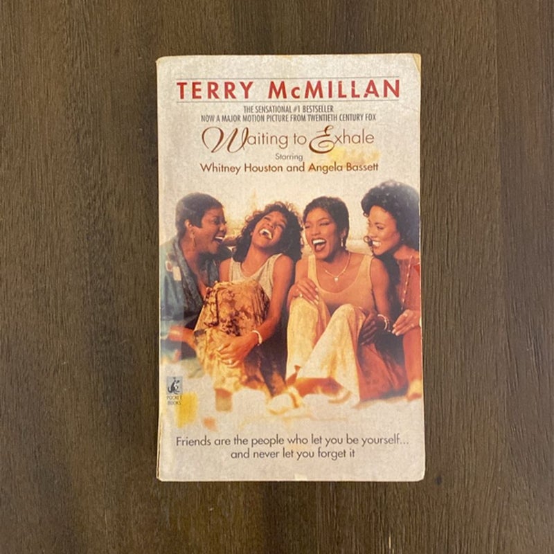 Terry McMillan Paperback Reader’s Bundle (1992-2001)