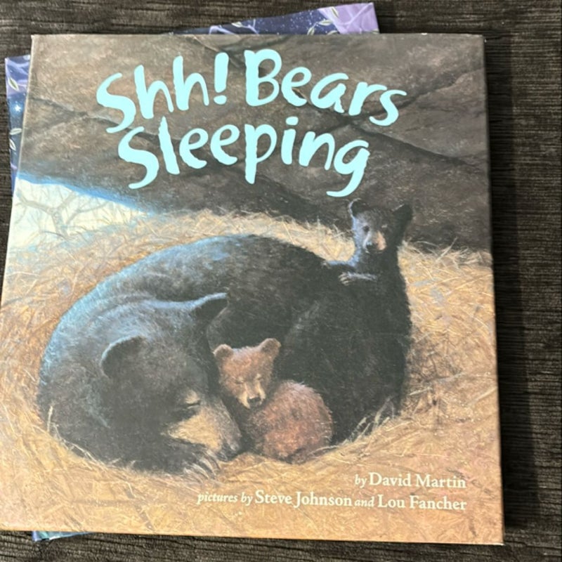 Shh! Bears Sleeping