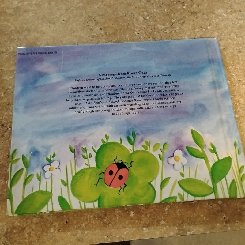 Ladybug, ladybug,  fly away home