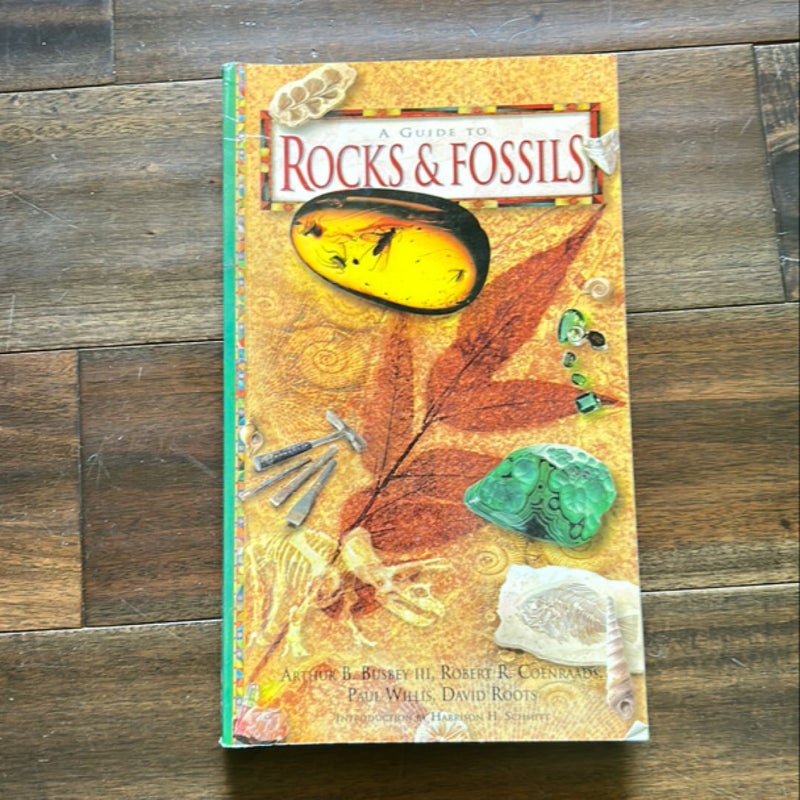 Rocks and Fossils