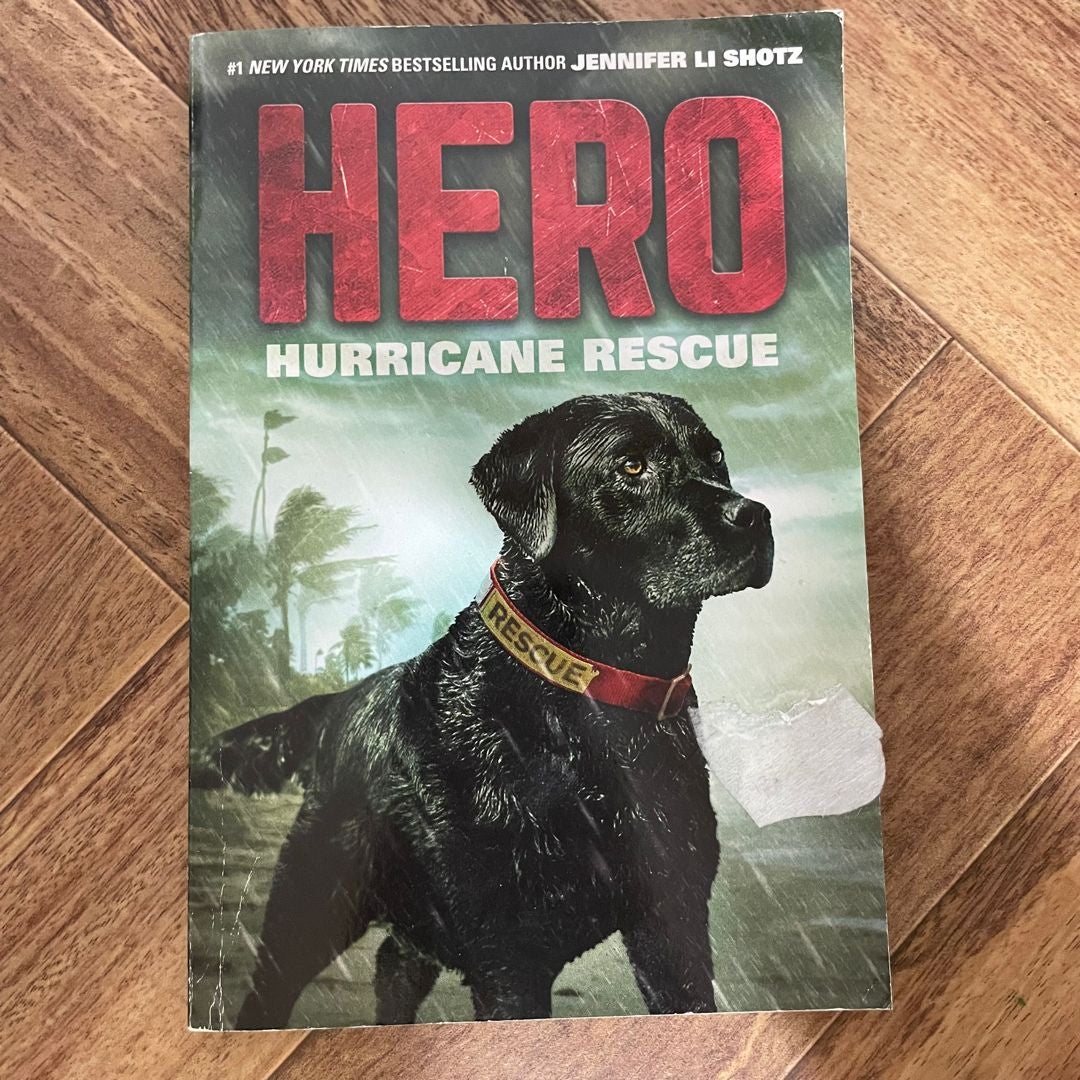 Hero: Hurricane Rescue