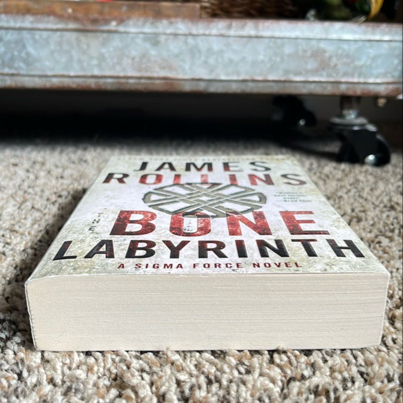 The Bone Labyrinth