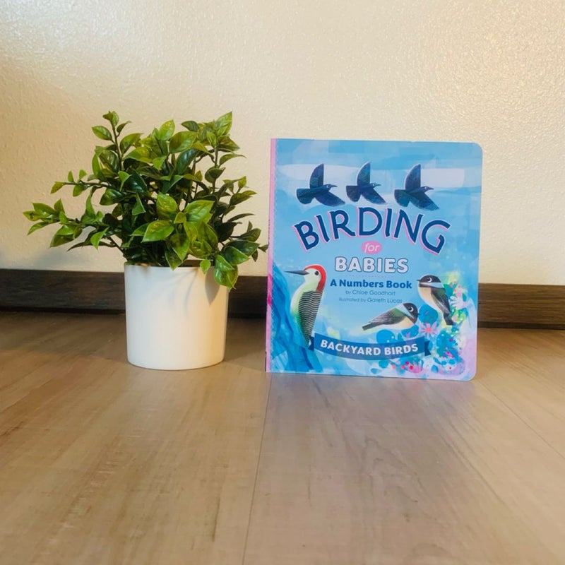 Birdind for Babies