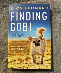 Finding Gobi