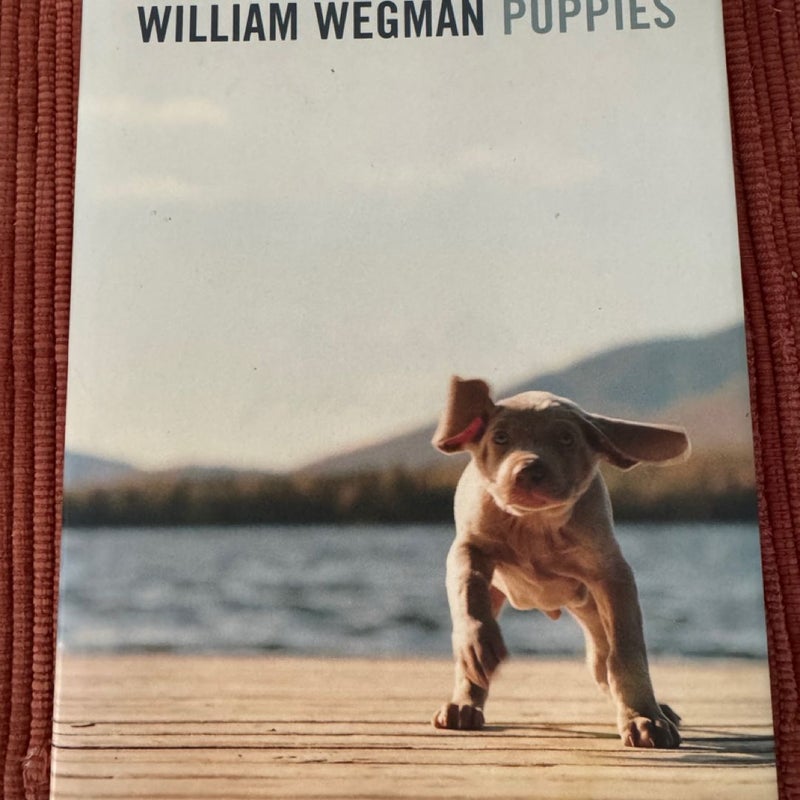 William Wegman Puppies