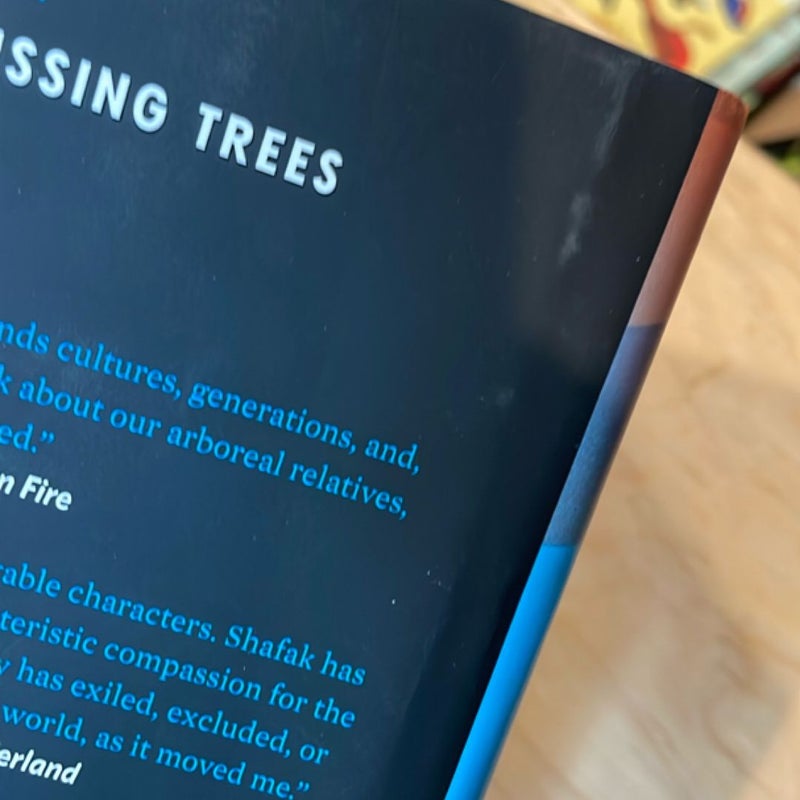 The Island of Missing Trees