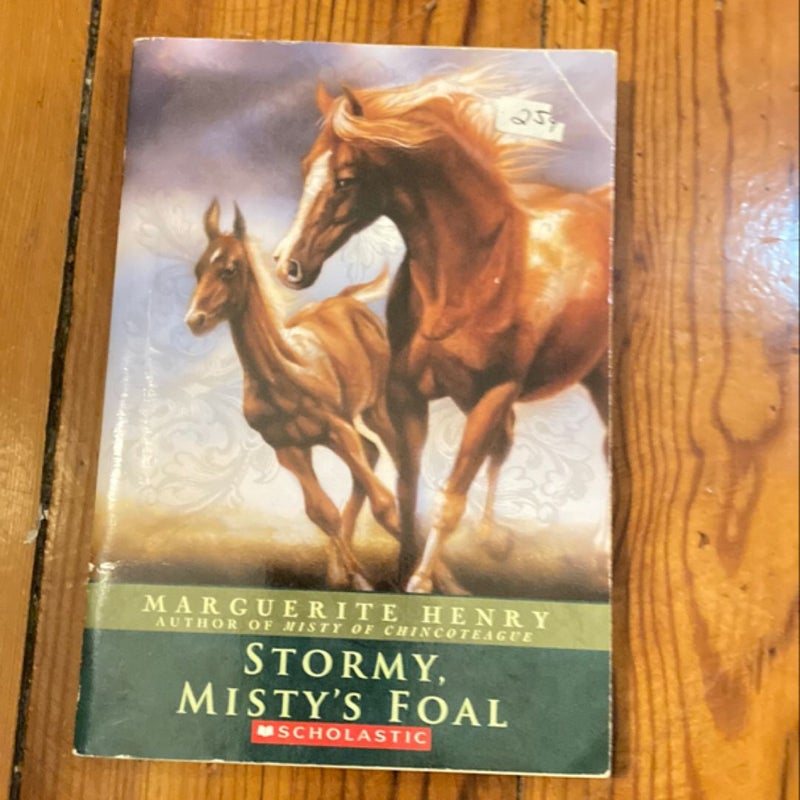 Stormy, Misty’s foal