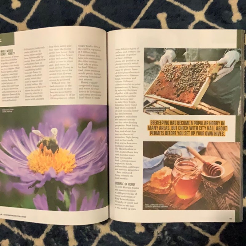 Backwoods Survival Guide