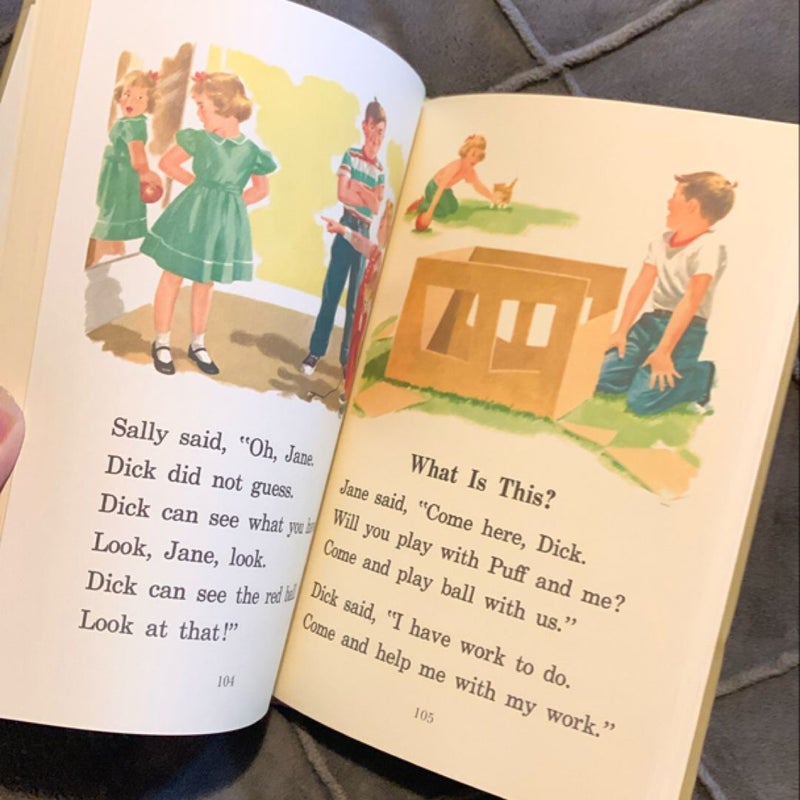 Dick and Jane Fun Wherever We Are