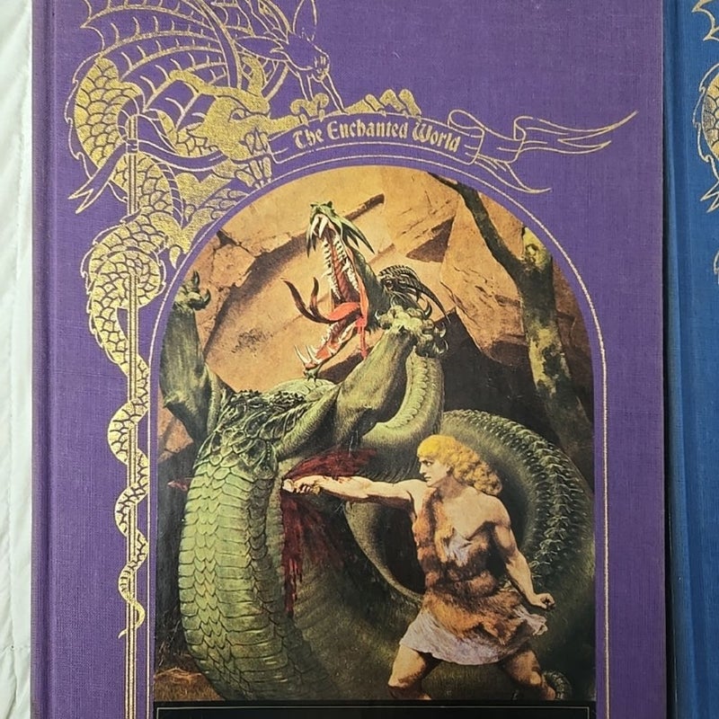 The Enchanted World Series 4 hardcovers Dragon, Fairies and Elves and more. 