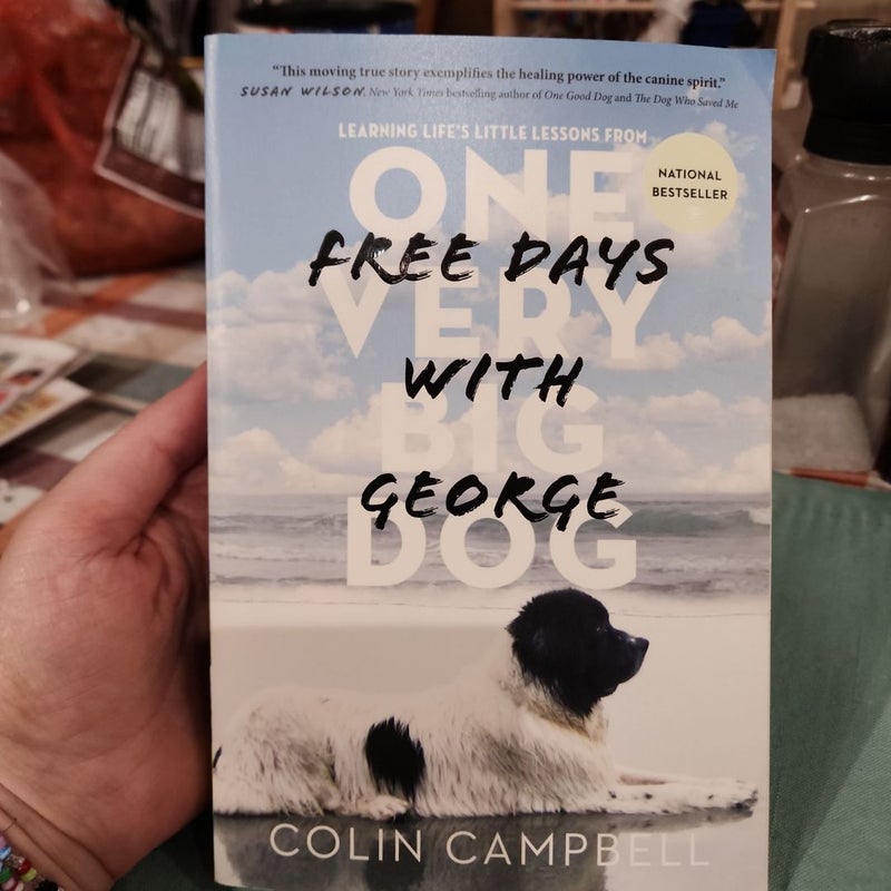 Free Days with George