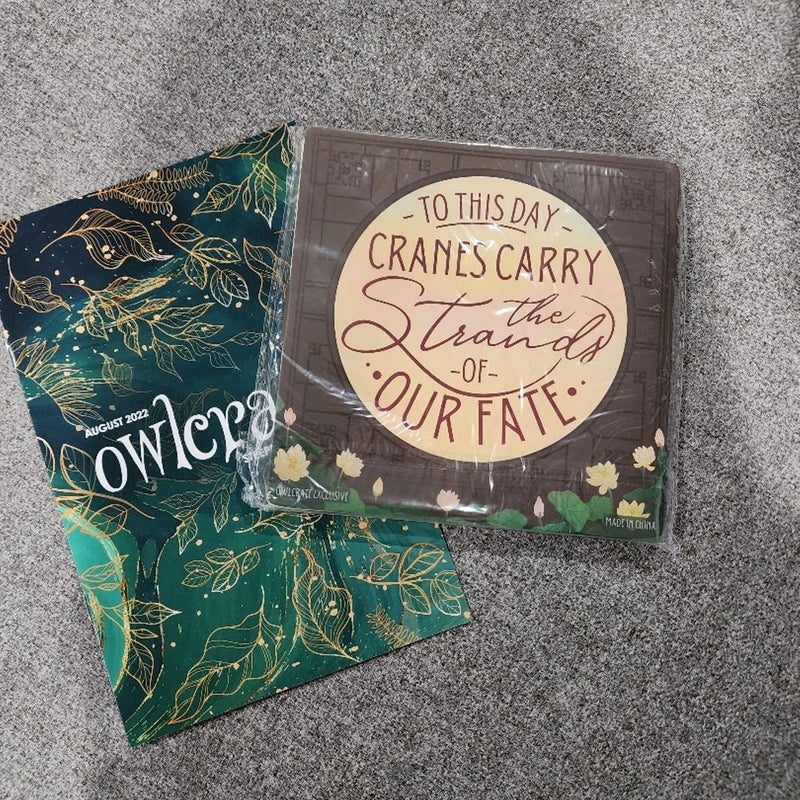 Origami Kit - Owlcrate 