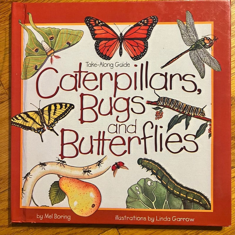 Caterpillars, Bugs, and Butterflies