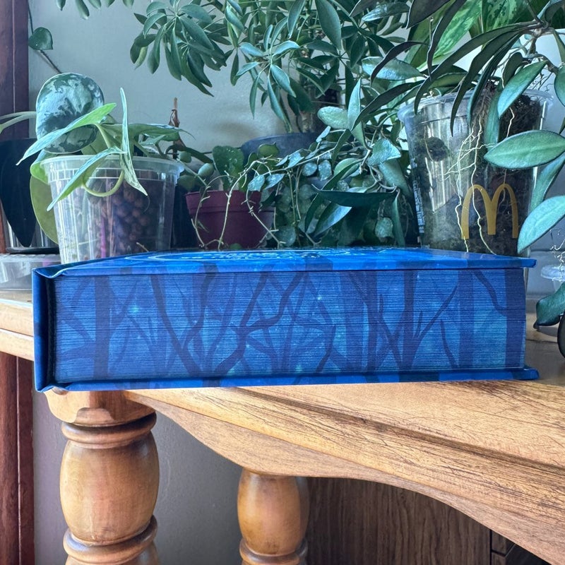 A Warrior's Fate - Moonlight Book Box Signed