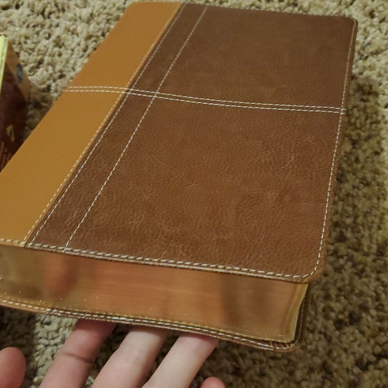 NIV Life Application Study Bible Red Letter Edition [Brown]