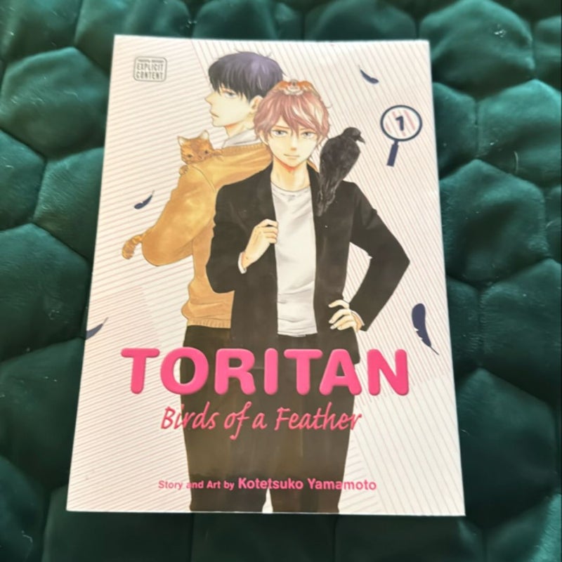 Toritan: Birds of a Feather, Vol. 1